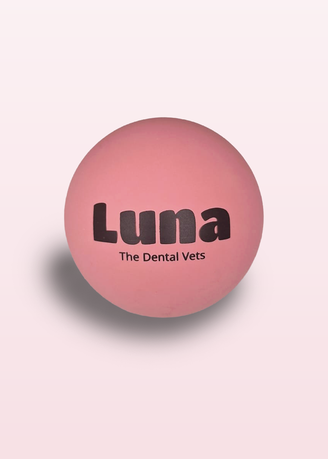 Basket | Luna