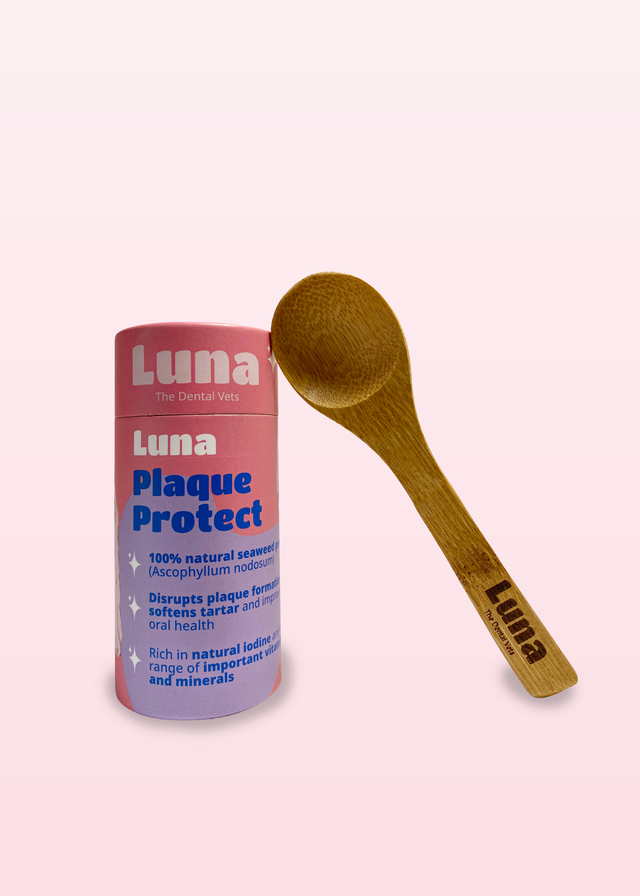 Basket | Luna