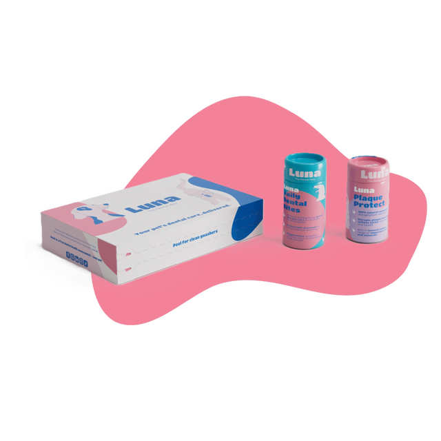 SM6O4CF7Y43F4FRP3EOCSPXL.png?